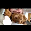 alex - @xalex.britz2 - TikTok