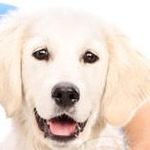 Alex Brownstein - @real_alex_brownstein_ - Instagram