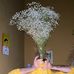 Alex Brownstein-Carter - Facebook