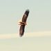 Alex Bucher - Facebook