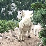 Alex Bucher And Cole Evans - @alex_and_cole_freestyle - Instagram