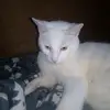 adamalexbuckler - @buckler59 - TikTok