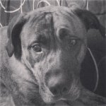 Alex Buckler - @alexbuckler_30 - Instagram