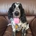 Alex Burley - Facebook