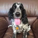 Alex Burley - @lexyb2 - Instagram