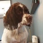alex butcher - @alex_butcher2019 - Instagram