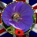 Alex Butcher - Facebook