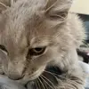 alexxbutton - @alexxbutton2 - TikTok
