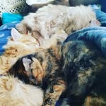 Alex Bynum - @jam_catz - Instagram
