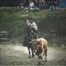 Alex Cadena - Facebook