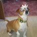 Alex Cahill - Facebook