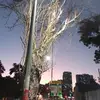Alexca Hill - @alexca.hill - TikTok