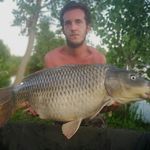 Alex Cardinali - @cardinalialex - Instagram