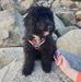 Alex Carruthers - Facebook