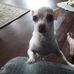 Alex Carson - Facebook
