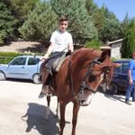 Alex Cascio - @cascio8029 - Instagram