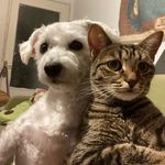 Alex & Casper - @casperandalex - Instagram