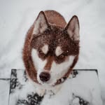 Alex + Casper - @wildlycasper - Instagram
