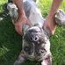 Alex Chabot - Facebook