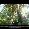 Alex Chabot - @chafoufou - TikTok