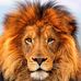 Alex Chabran - Facebook