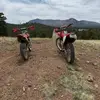 AlexC - @alex.chambers4 - TikTok