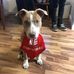 Alex Charters - Facebook