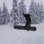 Alex Chatfield - @twistednature_pdx - Instagram