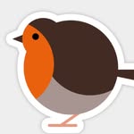 Alex Cheek - @birbs_eyeview - Instagram