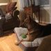 Alex Chesnut - Facebook