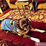Alexa Chestnut - @user622251767 - TikTok
