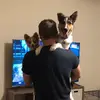 alexchilders26 - @alex.childers - TikTok