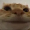 is - @alexclay318 - TikTok