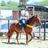 alex colares - @alexcolares31 - TikTok