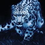 @AlexCombes - @acombe10_gaming - Instagram