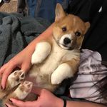 Alex Conlon - @rhhsgames - Instagram