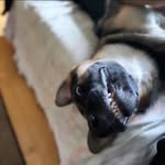 Alex Connolly - @alexconnolly1471 - Instagram