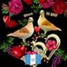 Diego Alex Brito Corio - Facebook