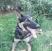 Alex Corral - Facebook