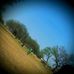 Alex Corrales - Facebook