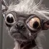Alexi Corrales - @alexi.corrales7 - TikTok