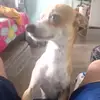 Alex Corzo - @alex.corzo6 - TikTok