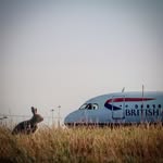 Alex Costello - @infinite.flight.costello - Instagram