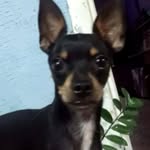 Alex Cristancho - @alex.cristancho.904 - Instagram