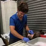 Alex Crook - @vetalexcrook - Instagram
