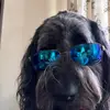 Alex - @alexcrowell - TikTok