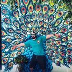 Alex Crowell - @alcralheyy - Instagram