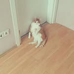 @alexandros__culberson__1064 - Instagram