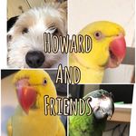 Alexandra Czerwinski - @howardandfriends - Instagram