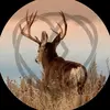 𐂂 Alex 𐂂 - @deer..alex - TikTok